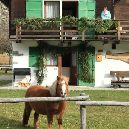 Chalet Incantevole Zender